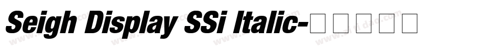 Seigh Display SSi Italic字体转换